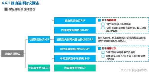 路由信息协议RIP在计算机网络与信息安全软件开发中的作用